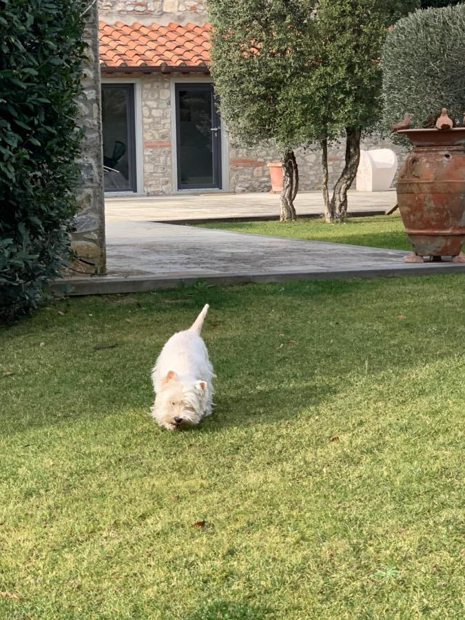 Appartamento In Villa Con Piscina - Mhateria Relais Rignano Sull Arno Luaran gambar