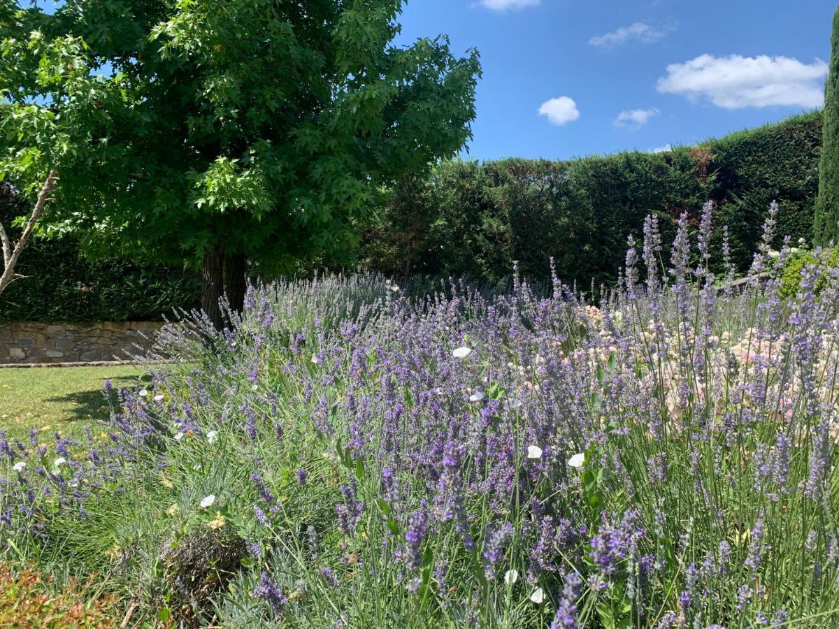Appartamento In Villa Con Piscina - Mhateria Relais Rignano Sull Arno Luaran gambar